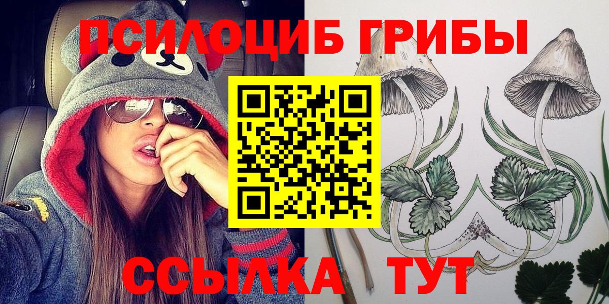 Псилоцибиновые грибы GOLDEN TEACHER Назрань